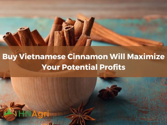 buy-vietnamese-cinnamon-will-maximize-your-potential-profits-1