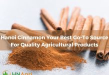 hanoi-cinnamon-your-best-go-to-source-for-quality-agricultural-products-1