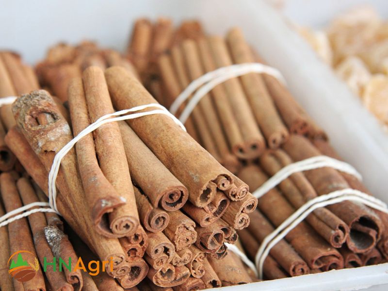 buy-vietnamese-cinnamon-will-maximize-your-potential-profits-3