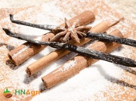 vietnamese-cinnamon-sticks-a-guide-for-wholesalers-1
