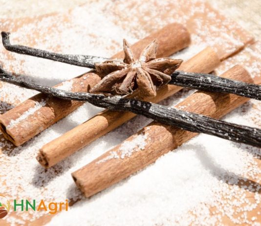 vietnamese-cinnamon-sticks-a-guide-for-wholesalers-1