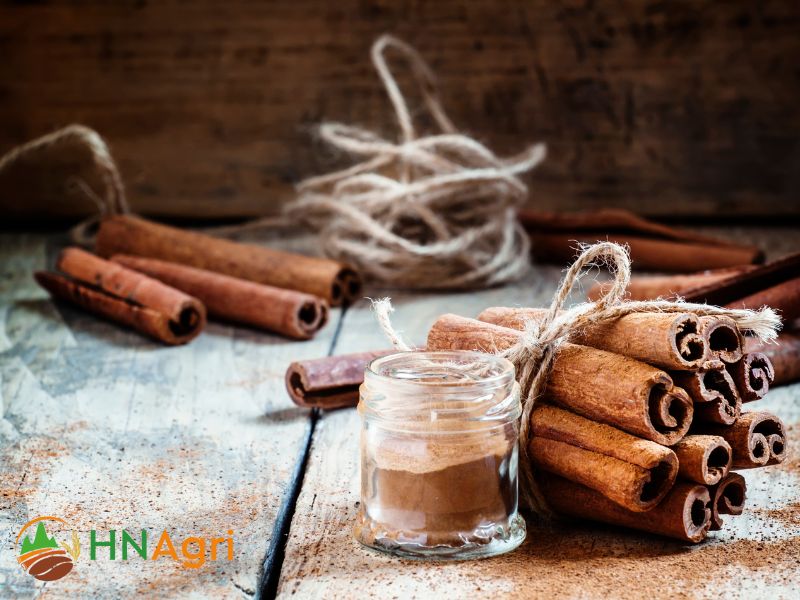 hanoi-cinnamon-your-best-go-to-source-for-quality-agricultural-products-3
