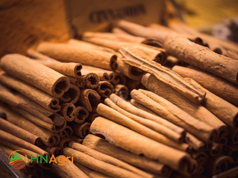 discovering-reputable-vietnam-cinnamon-suppliers-3