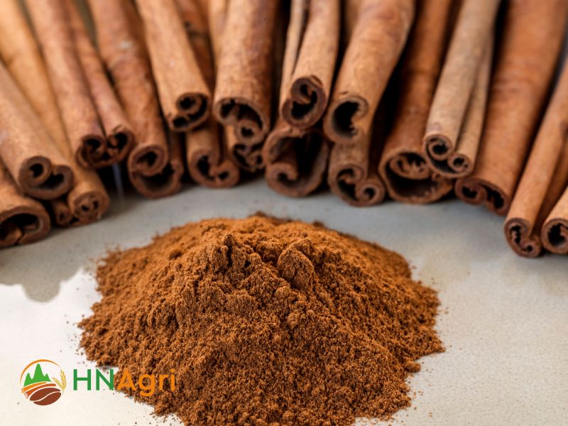Popular uses of Cinnamon from Vietnam